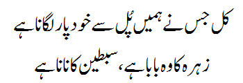 Ek Main Hi Nahi Un Par Qurban Zamana Hai Lyrics Verse #2