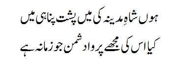 Ek Main Hi Nahi Un Par Qurban Zamana Hai Lyrics Verse #5