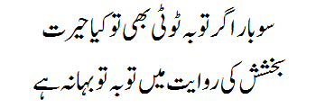 Ek Main Hi Nahi Un Par Qurban Zamana Hai Lyrics Verse #6