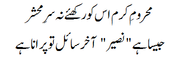 Ek Main Hi Nahi Un Par Qurban Zamana Hai Lyrics Verse #7